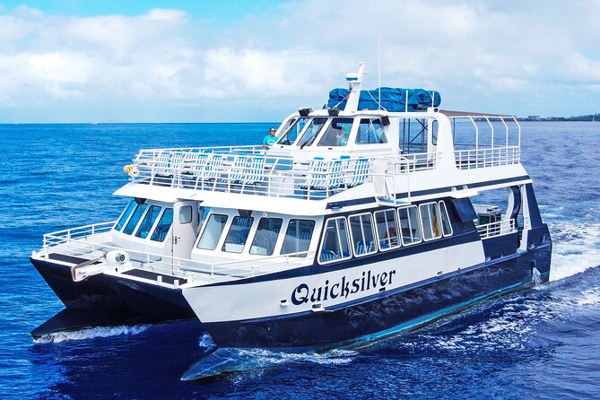 From Maalaea: Whale Watching Tour Aboard the Quicksilver - Key Points Before You Book