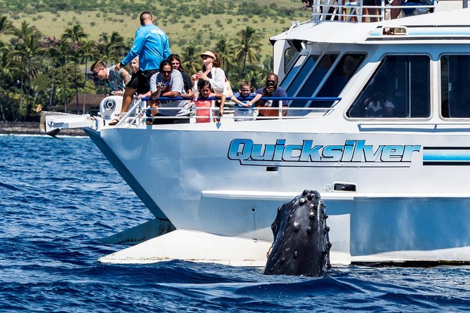 From Maalaea: Whale Watching Tour Aboard the Quicksilver - Leaving Maalaea Harbor for the Whales