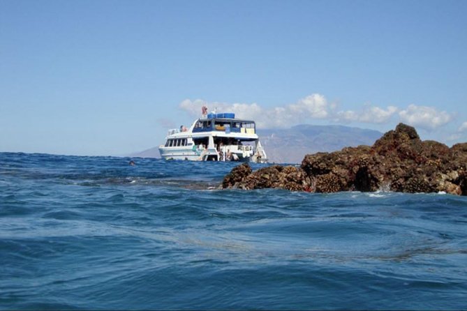 From Maalaea: Whale Watching Tour Aboard the Quicksilver - Family Comfort and Practical Details