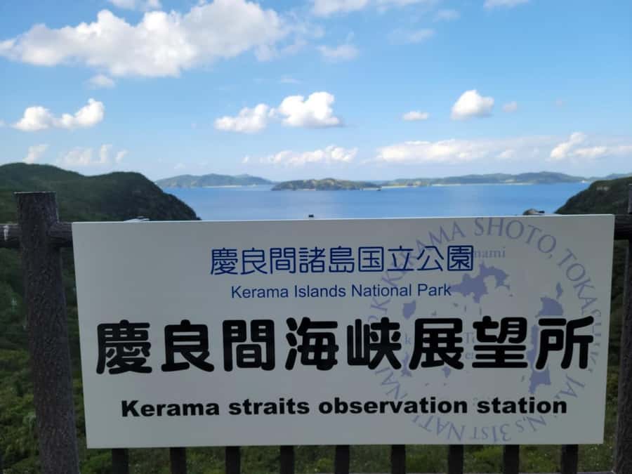 From Naha : Kerama, Tokashiki Island and Whale Watching Tour - Boat comfort matters more than most people expect
