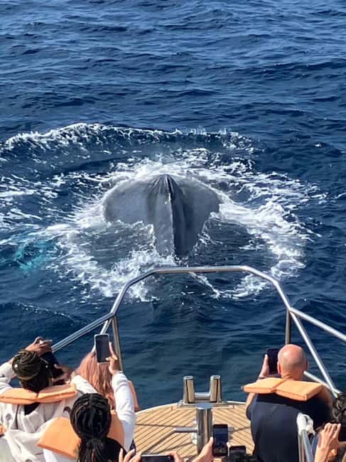 From Naha: Whale Watching with Pickup and English Guide - What the three-hour boat trip is like