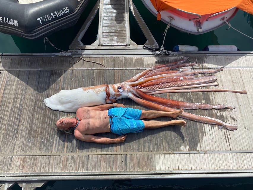 From Playa San Juan: Whale Watching, Gigantes, and Masca Bay - Masca Cove and the Swim Break