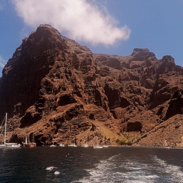 From Playa San Juan: Whale Watching, Gigantes, and Masca Bay - How Much Value Do You Get for $94?