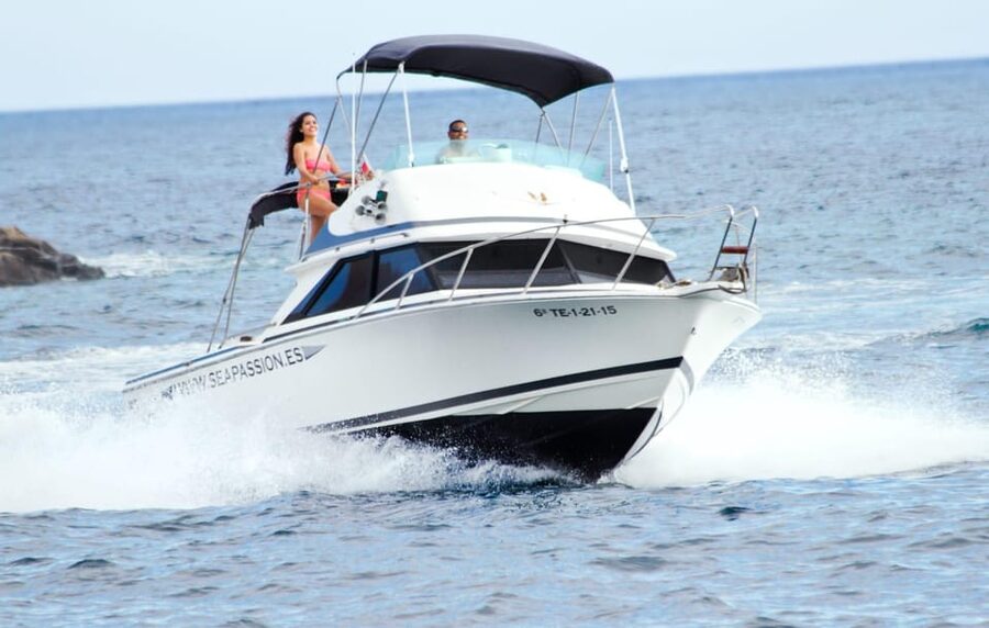 From Playa San Juan: Whale Watching, Gigantes, and Masca Bay - FAQ