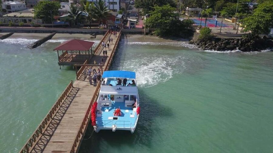 From Punta Cana: Whale Watching and Montana Redonda Tour - Why this Punta Cana day trip is worth considering