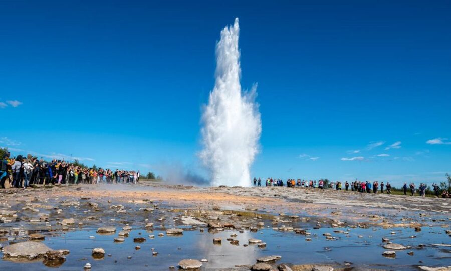 From Reykjavik: Full Day Whale Watching & Golden Circle Tour - Three hours on Faxaflói Bay