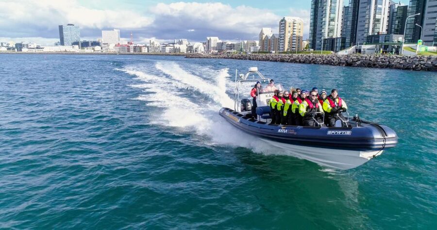From Reykjavik: Whale Watching Tour by Speedboat - Searching Faxaflói Bay for whales