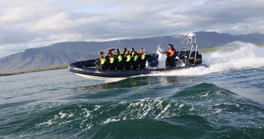 From Reykjavik: Whale Watching Tour by Speedboat - Puffin islands and nesting birds