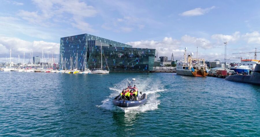 From Reykjavik: Whale Watching Tour by Speedboat - The RIB ride is part of the attraction