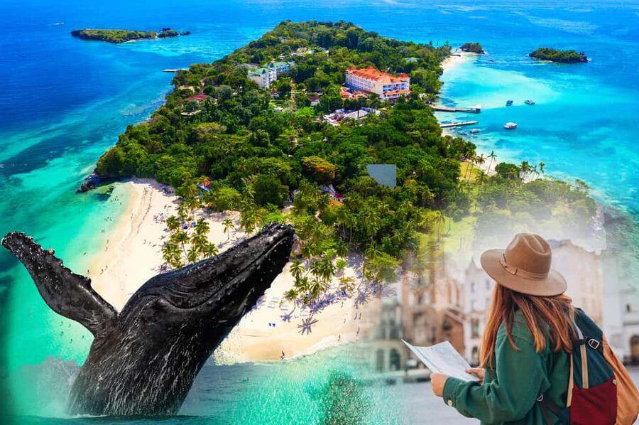 From Samaná: Whale Watching and Cayo Levantado Island Tour - Practical advice for a better day