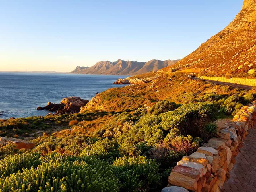 From Stellenbosch: Hermanus Whale Route Tour - Lunch and wine in the Hemel and Aarde valley