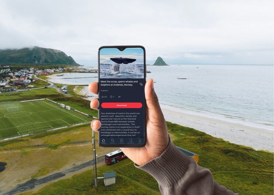From Svolvær: Whale Watching Day Trip to Andenes - Who will enjoy this Andenes day trip?