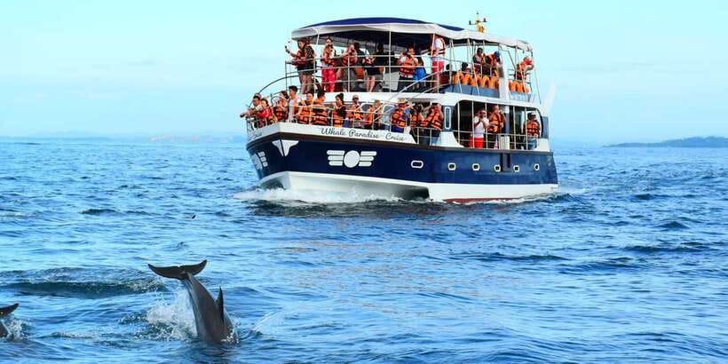 From Tangalle: Mirissa Whale Watching Tour with Breakfast - Key points to know before booking