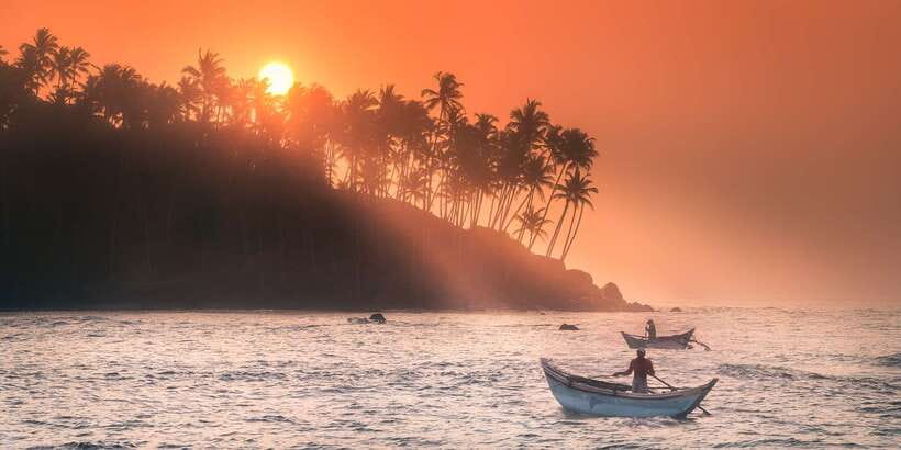 From Tangalle: Mirissa Whale Watching Tour with Breakfast - Who will enjoy this morning most?