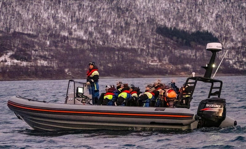 From Tromso: Whale Watching in Magic Skjervoy - Why the small RIB makes a difference
