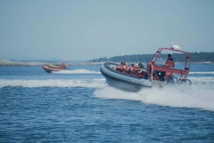 From Victoria: Whale Watching Marine Wildlife Excursion - Conservation is built into the price
