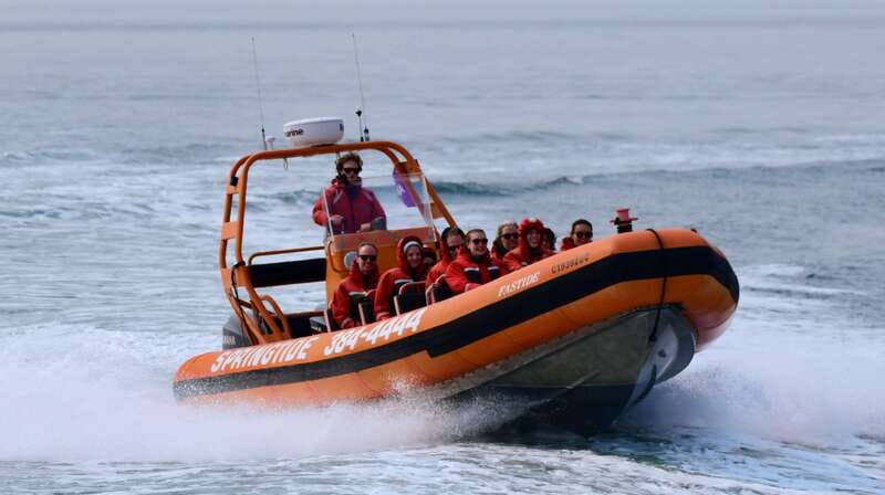 From Victoria: Whale Watching Tour by Zodiac Boat - Searching for orcas and humpback whales