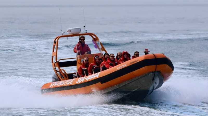 From Victoria: Whale Watching Tour by Zodiac Boat - Is $138 a fair price?