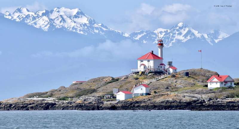 From Victoria: Whale Watching Tour by Zodiac Boat - Who should book this Zodiac trip?
