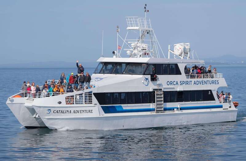 From Victoria: Whale Watching Trip on Covered Boat - What makes this Victoria whale cruise worth your time