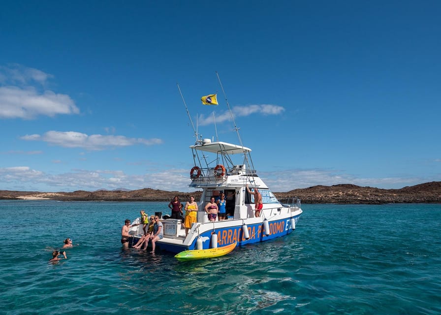 Fuerteventura: Whale & Dolphin Watching Boat Tour with Guide - What the guide adds to the ride