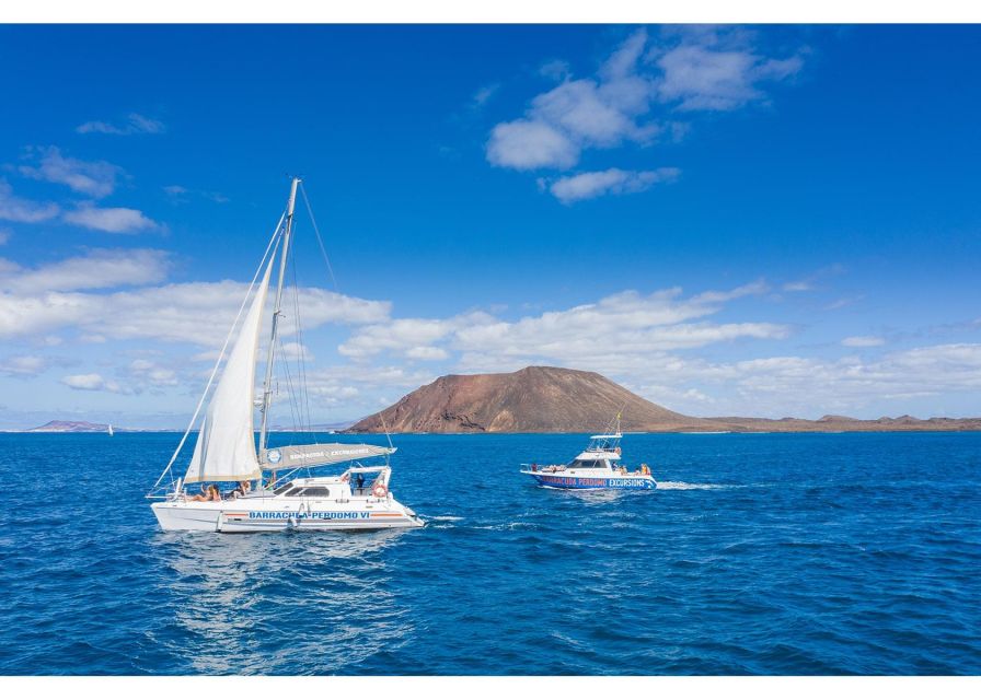 Fuerteventura: Whale & Dolphin Watching Boat Tour with Guide - Booking details that matter