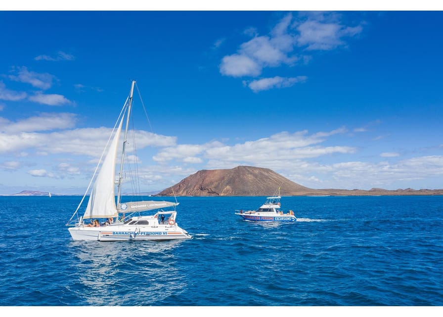 Fuerteventura: Whale & Dolphin Watching Boat Tour with Guide - Finding dolphins in open water