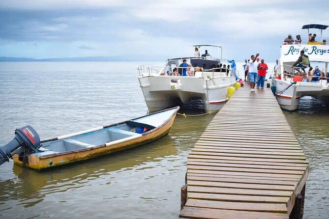 Full Day Bacardi Whale Watching - End Season March 30th - Lunch and beach time on Cayo Levantado