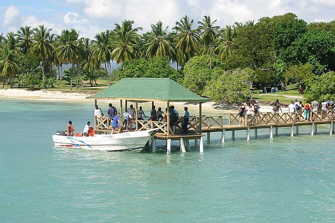 Full Day Bacardi Whale Watching - End Season March 30th - What to pack for the boat and beach