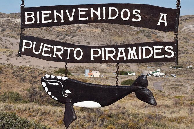 Full Day Peninsula Valdes Experience - optional Whale Watching - Ameghino Visitors Center and the two-gulf view