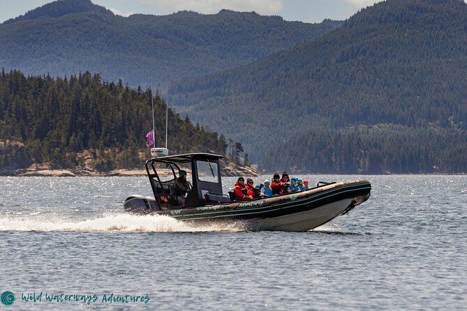 Full Day Whale Watching Campbell River - The route through fjords, islands, and tidal rapids