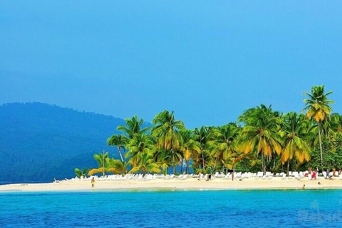 Full-day Whale watching Tour in Samana Bay from Punta Cana - Watching humpback whales in Samaná Bay