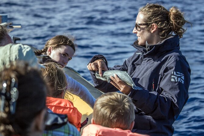 Full-Day Whales & The Princess Ring Islet (incl. Lunch) - The hourly return boats require attention