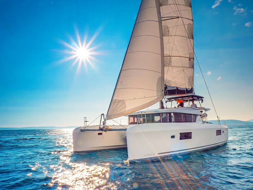 Funchal Bay: Dolphin & Whale Watch Luxury Catamaran Cruise - Key points to know before you book