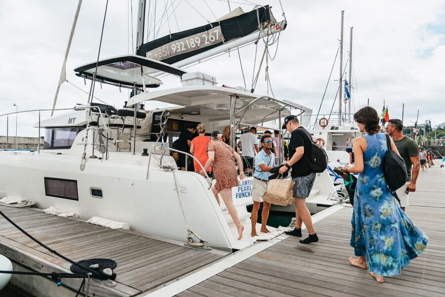 Funchal Bay: Dolphin & Whale Watch Luxury Catamaran Cruise - A respectful look at dolphins and pilot whales