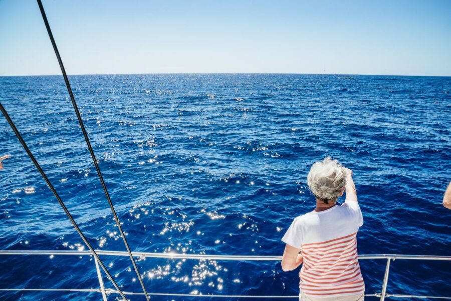 Funchal: Dolphin and Whale Watching by Luxury Catamaran - Leaving Funchal Marina on a smaller catamaran