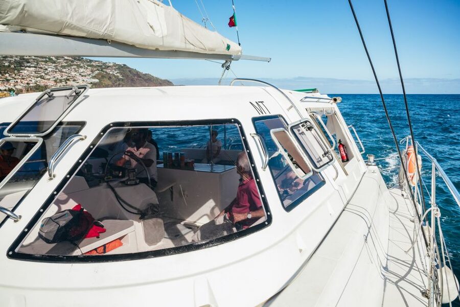 Funchal: Dolphin and Whale Watching by Luxury Catamaran - Cabo Girão and the swimming stop