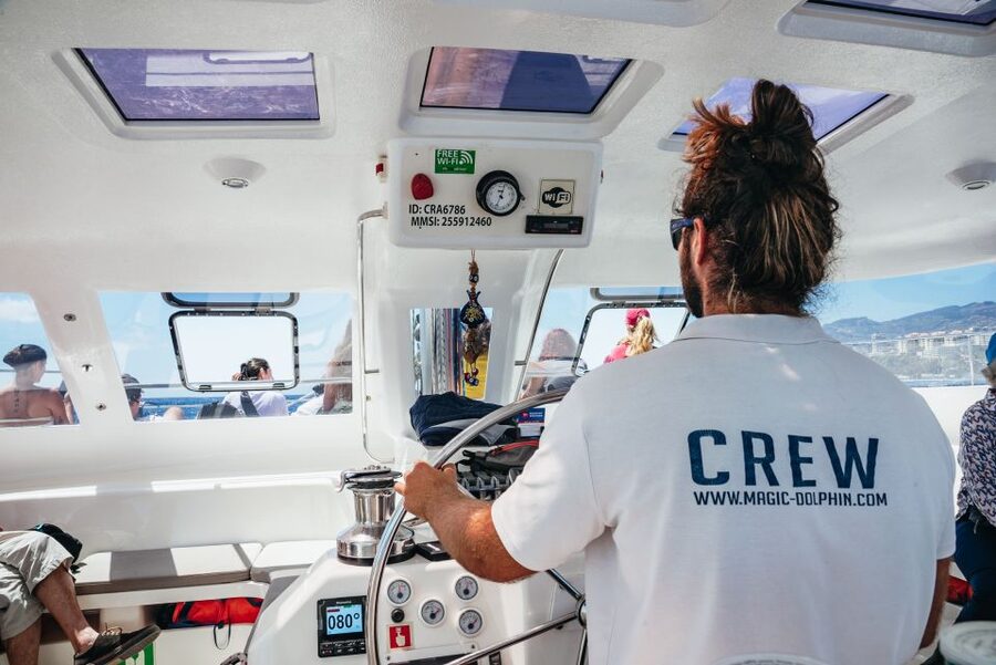 Funchal: Dolphin and Whale Watching by Luxury Catamaran - The ride back along Madeira’s coast