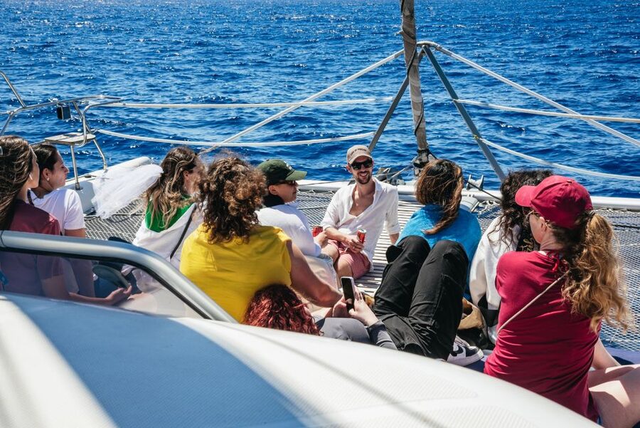 Funchal: Dolphin and Whale Watching by Luxury Catamaran - What the $47 price really buys you