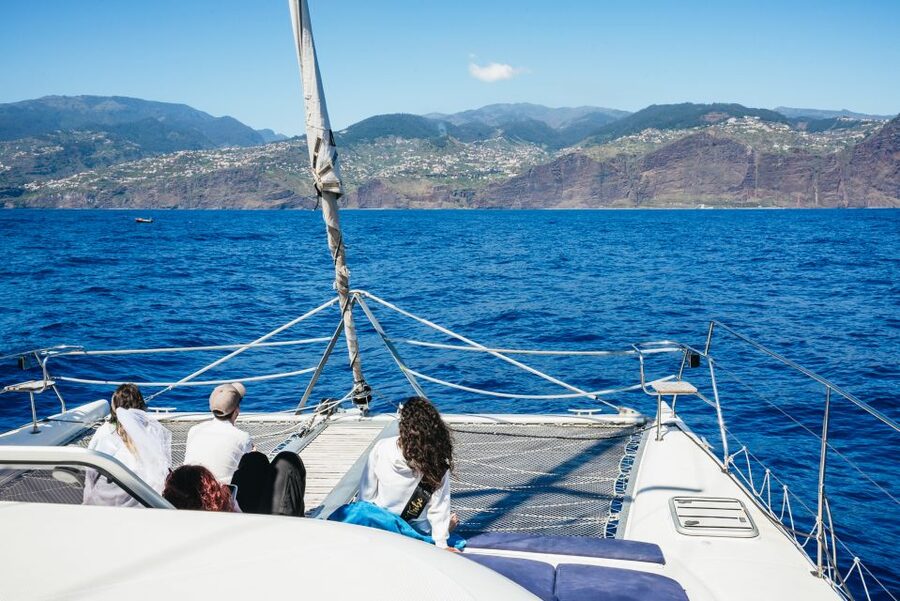 Funchal: Dolphin and Whale Watching by Luxury Catamaran - Comfort, clothing, and sea conditions