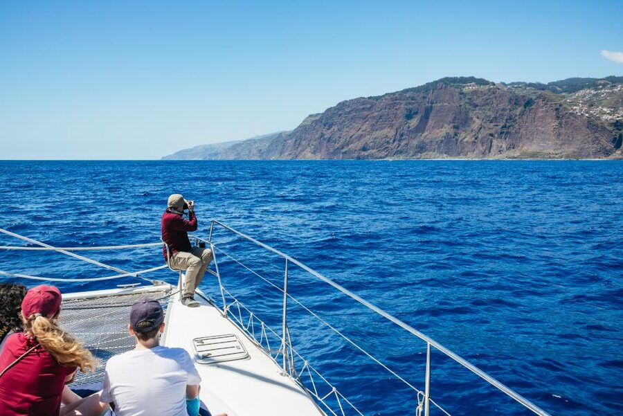 Funchal: Dolphin and Whale Watching by Luxury Catamaran - Booking details that matter