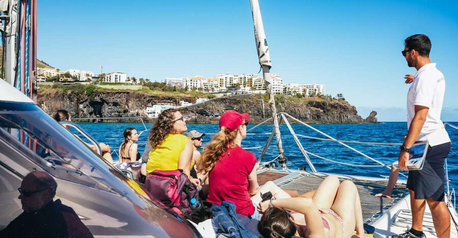 Funchal: Dolphin and Whale Watching by Luxury Catamaran - The search for dolphins, whales, and other sea life