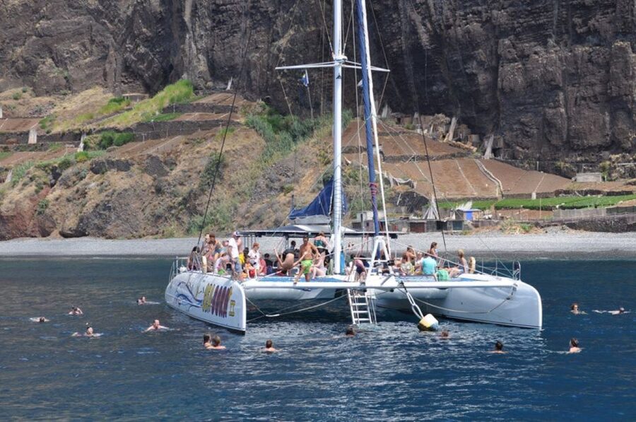 Funchal: Dolphin and Whale Watching Catamaran Cruise - Who will enjoy this cruise most?