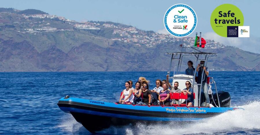 Funchal: Dolphin and Whale Watching Cruise - Key Points Before You Book