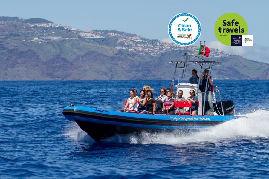 Funchal: Dolphin and Whale Watching Cruise - Why This Small Boat Matters in Funchal