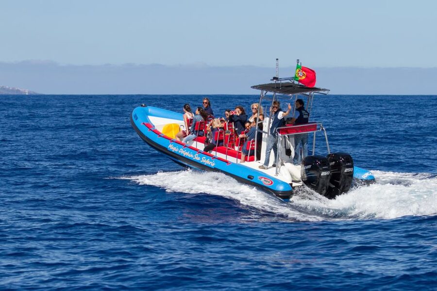 Funchal: Dolphin and Whale Watching Cruise - Practical Details That Save Trouble