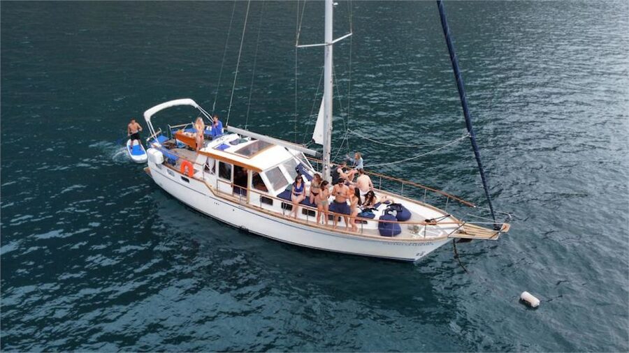 Funchal: Dolphin and Whale Watching Sailing Trip - Leaving Funchal Marina for the open Atlantic