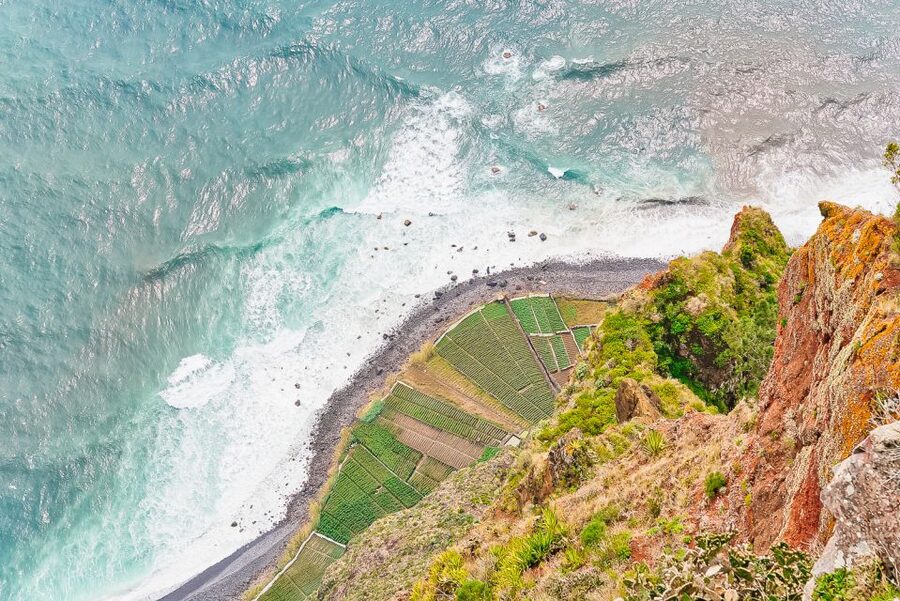 Funchal: Dolphin and Whale Watching Sailing Trip - Searching for dolphins and whales off Cabo Girão
