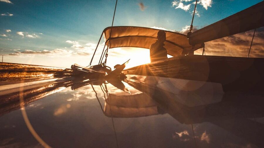 Funchal: Dolphin and Whale Watching Sunset Sailing Tour - Key points at a glance