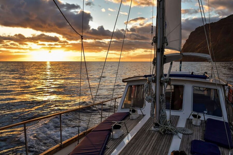 Funchal: Dolphin and Whale Watching Sunset Sailing Tour - Drinks, comfort, and the small-boat setting